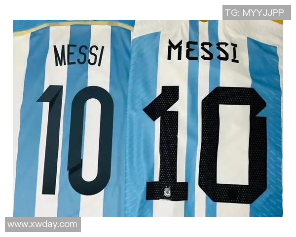 澳大利亚前足球明星的辉煌历程与对足球发展的深远影响