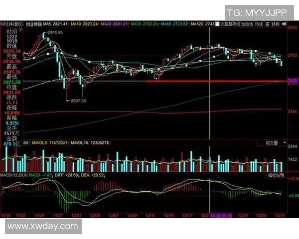 深圳羽毛球队与北京羽毛球队赛后复盘分析比赛节奏与战术对比
