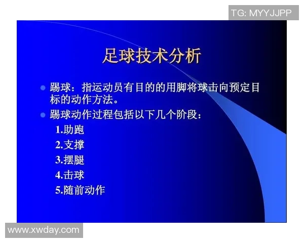深圳足球队总决赛技术分析与表现评估全面解读