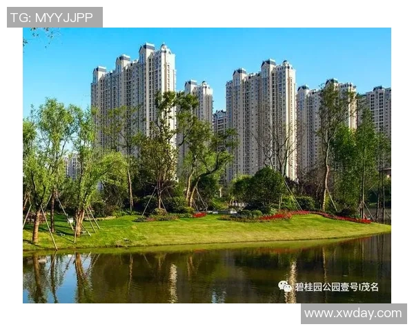 上海足球队在钻石联赛中的实力表现与未来发展潜力分析