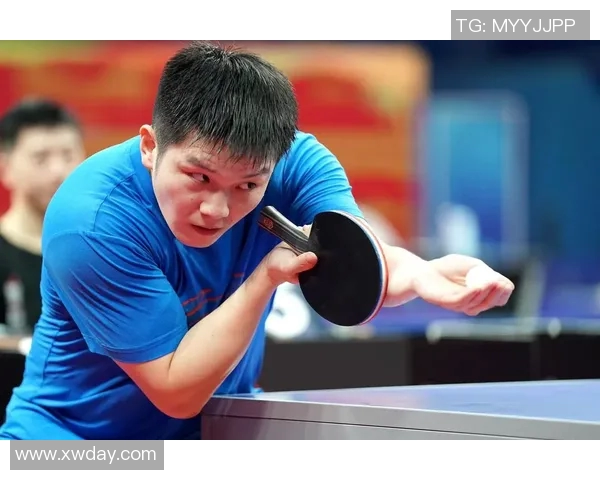 成都排球队在世锦赛中的战术意识与团队协作表现分析 成都排球队在世锦赛中的战术意识与团队协作表现分析