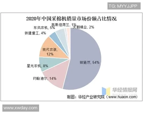 新疆足球明星年薪揭秘究竟有多少背后的故事与数据分析