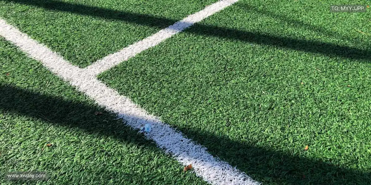 🎁 限量潮品,独家发售,体育周边让热爱触手可及!